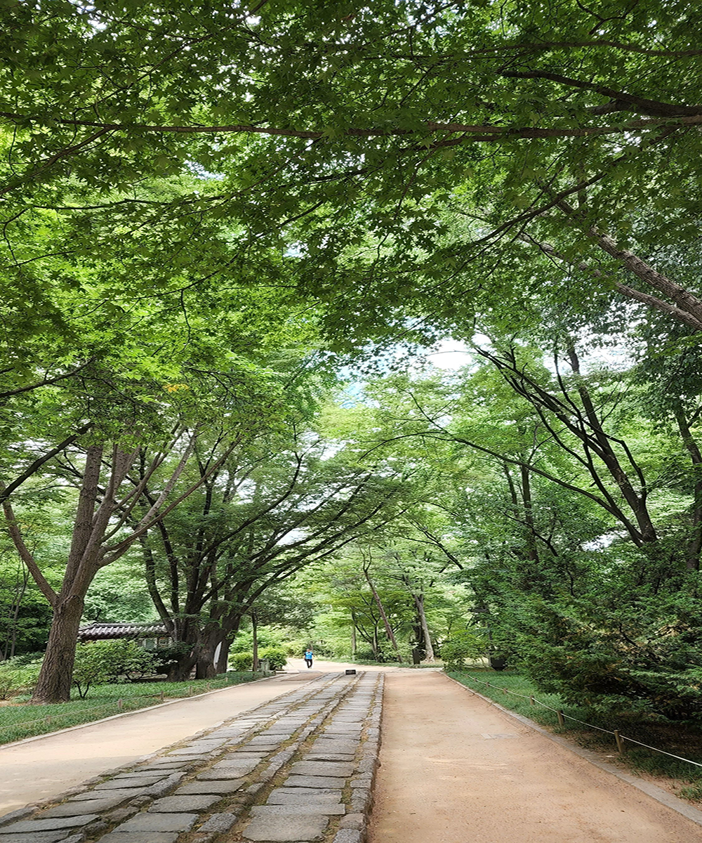 희망대공원 파크라이프